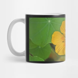 Nasturtium Mug